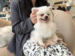 -怪兽屋·羊驼·猫咖·狗咖(俊华广场店)