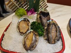 大连鲍鱼-苏大嘴蒸汽海鲜·海胆蒸饺(中山广场店)