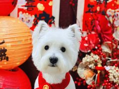 -宠Ta宠物生活馆(济宁任城区)