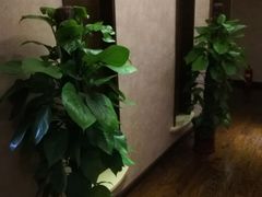 -中之润养生(都市路店)