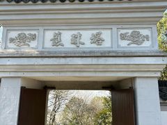 -上海佘山国家森林公园天马山园