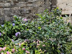 -金谷域澳洲庄园