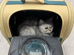 -派特宠物医院(圆融广场店)