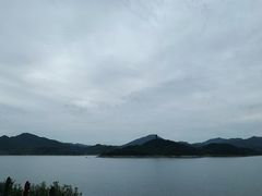 -望湖烤鱼