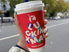 -瑞幸咖啡(海螺大厦店)