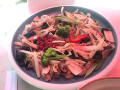 新疆椒麻鸡-董小西的凉皮和椒麻鸡(三元桥店)