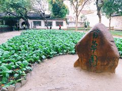 -绍兴鲁迅故里·沈园景区