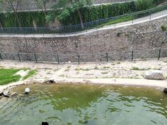 -石家庄市动物园