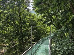 -参仙谷生态旅游度假区