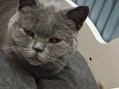 -1013 PET SHOP 宠物商店(近铁城市广场店)