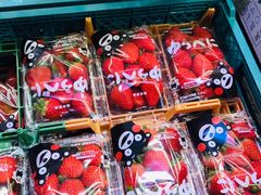 -永旺(大阪巨蛋城店)