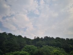-青龙山国家森林公园
