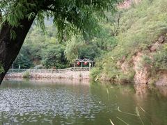 android_upload_pic-双新垂钓园
