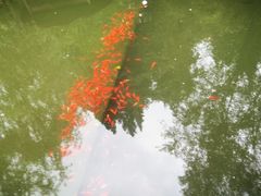 -星巴克臻选(苏州苏信店)