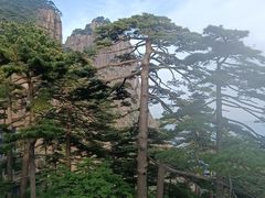 -黄山风景区