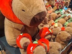 -酷乐潮玩(五道口购物中心店)