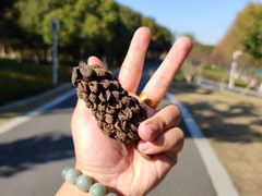 -虎丘湿地公园