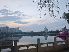 -莲花池公园