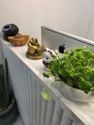 -苗方清颜·祛痘皮肤管理