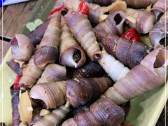 -贞姨美食·老字号海鲜大排档