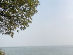 -贡湖湾湿地公园