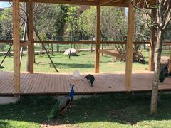 -云南艺术学院(呈贡校区)