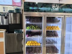 -雾与山茶(大禹城店)