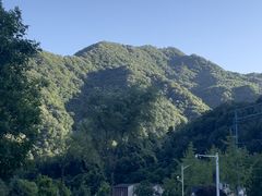 -牛背梁国家森林公园