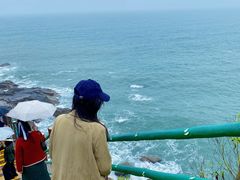 -广东惠东海龟国家级自然保护区