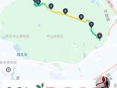 -紫金山山顶公园