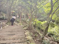 -灵顺寺