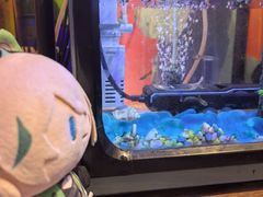 -西西里轰趴日租聚会别墅·团建拓展