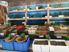 水产区-四季大酒楼(白濠店)