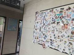 -半岛宠物医院24小时(白果林店)