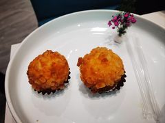 -丁老爷子苏香圆