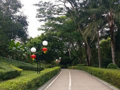 -荔香公园