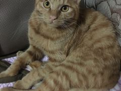 -爱侣宠医·鹦鹉专科·小型哺乳类·异宠专科(灵石路店)