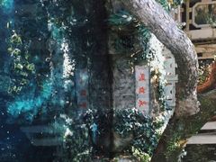 -蝴蝶泉公园