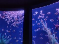 -沈阳海洋探索中心