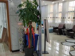 -茂菊口腔连锁(浦东南路店)