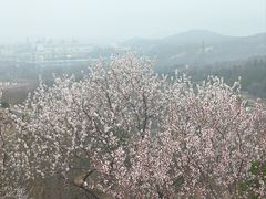 -白水寺森林公园