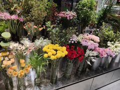 -植物学家的女儿(北马道巷店)