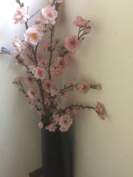 点击看大图 -翎兰瑜伽·普拉提