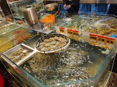 -新天明砂锅鱼头煲