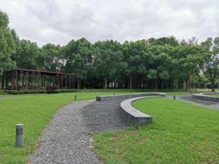 -南汇新城城市公园