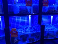 -七欣天香辣蟹火锅(闵行浦江欢乐颂店)
