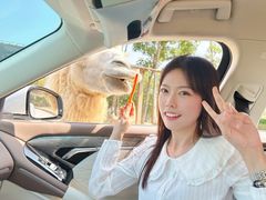 -南京金牛湖风景区