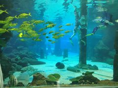 -石家庄海洋公园
