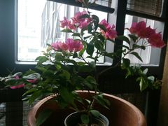 -瓦库茶馆17号(海汇港店)