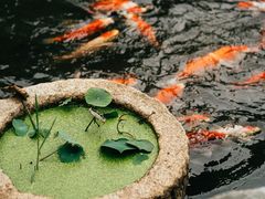 -火车头时光旧物仓
